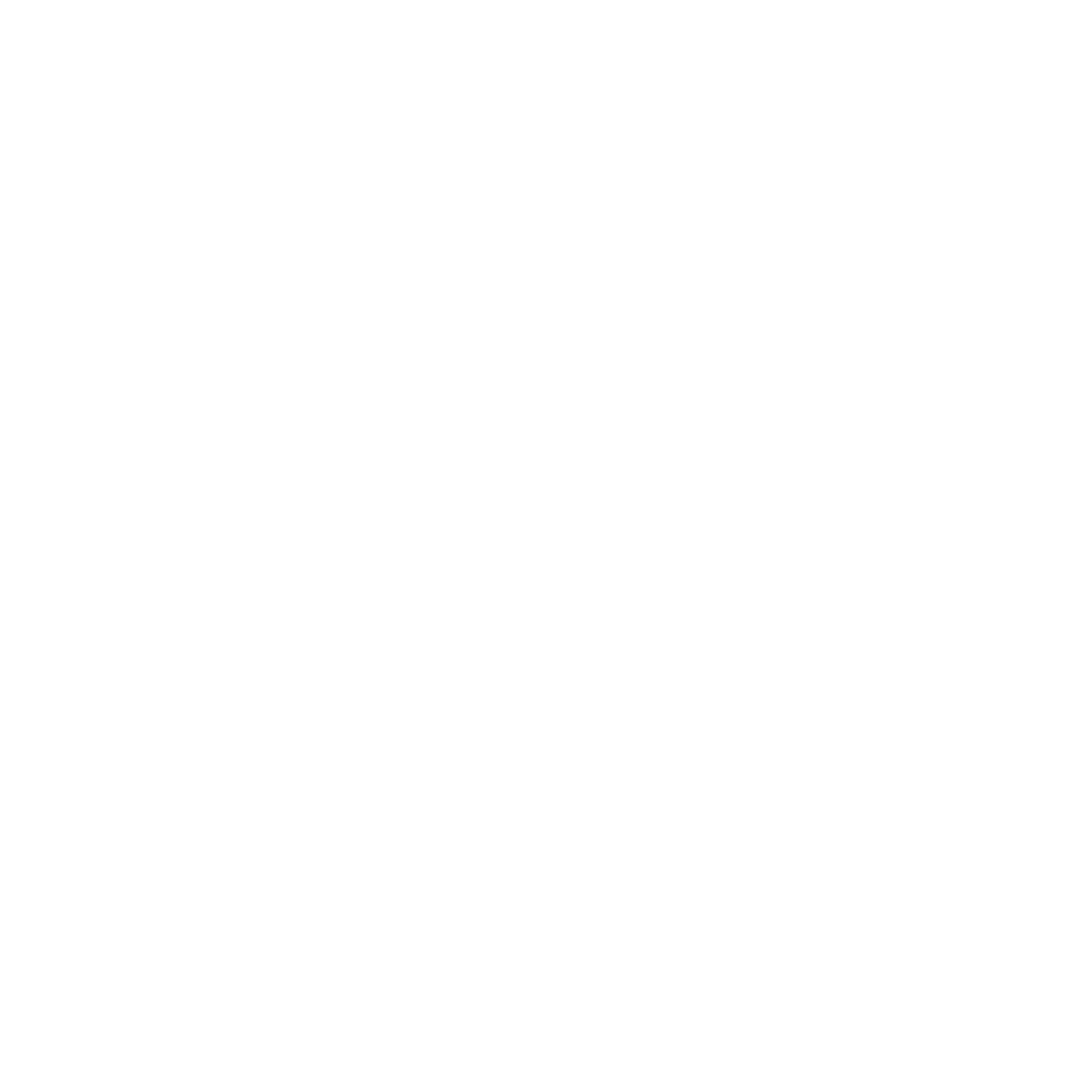 Black-limo-ride-boston-ma-usa-logo-footer